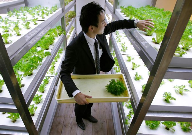 חווה אורבאנית Pasona