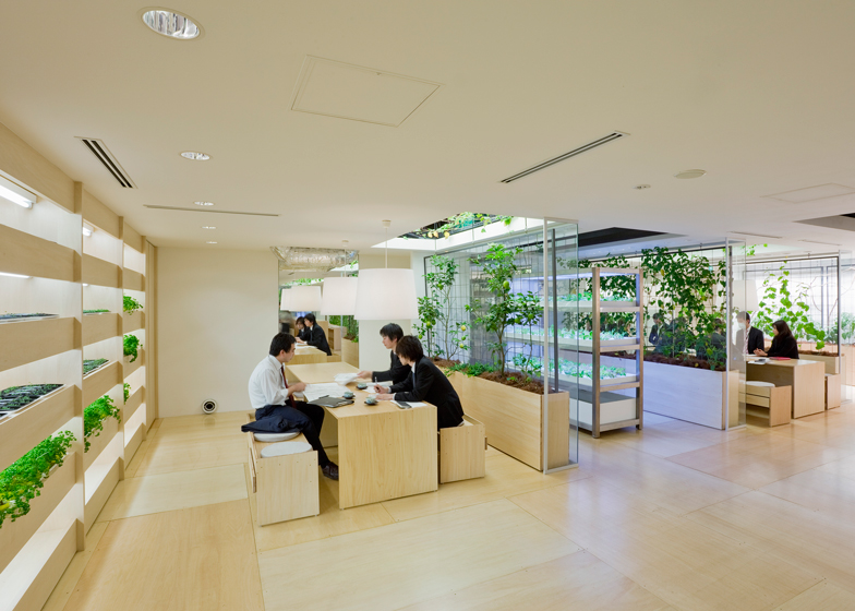 חווה אורבאנית Pasona