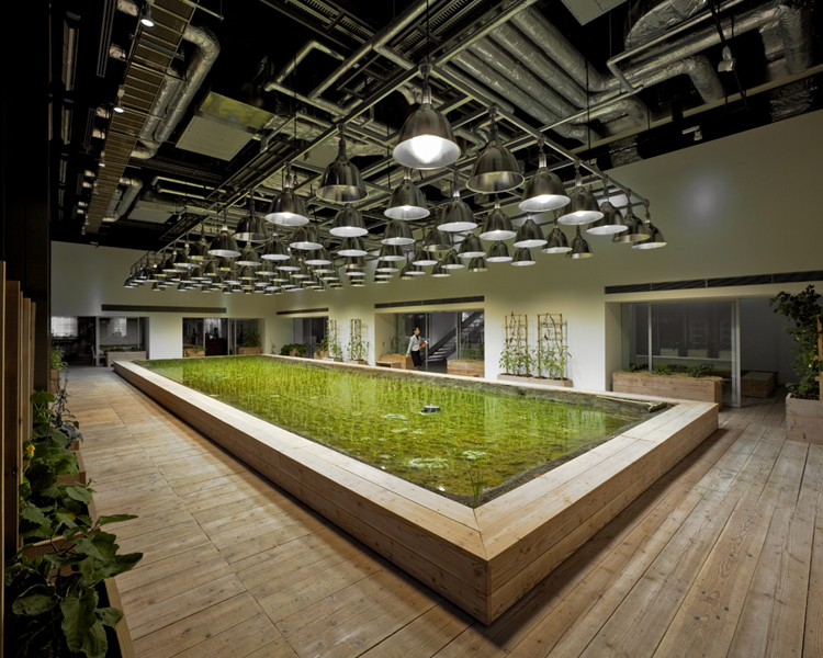 חווה אורבאנית Pasona