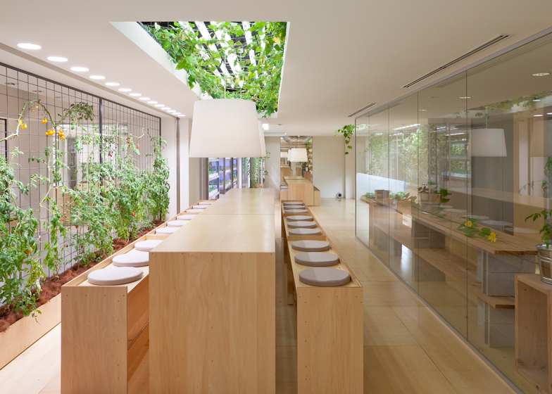 חווה אורבאנית Pasona